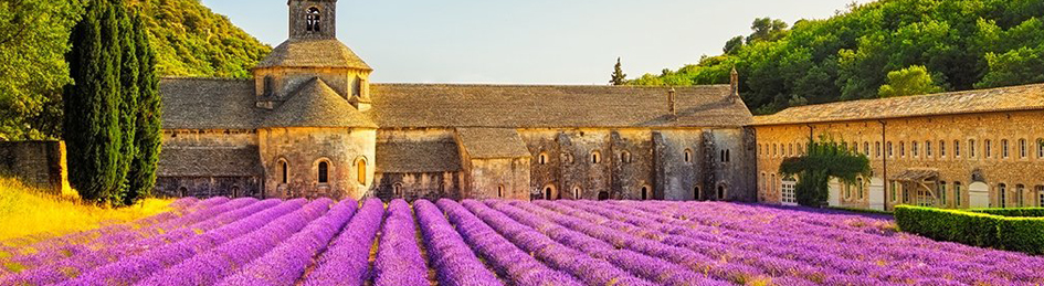 Countryside of Provence for travel